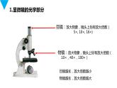 人教版生物七年级上册第三单元  细胞是生命活动的基本单位 3.1 练习使用显微镜  教学PPT课件