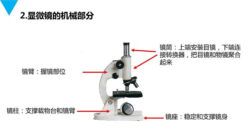 人教版生物七年级上册第三单元  细胞是生命活动的基本单位 3.1 练习使用显微镜  教学PPT课件第6页