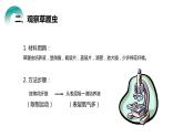 人教版生物七年级上册第四单元  细胞怎样构成生物 4.4 单细胞生物  教学PPT课件