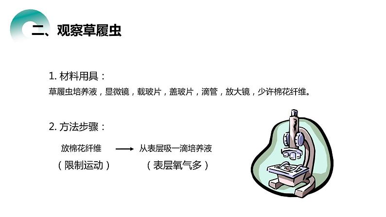 人教版生物七年级上册第四单元  细胞怎样构成生物 4.4 单细胞生物  教学PPT课件05