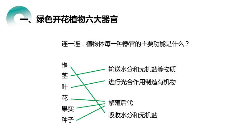 人教版生物七年级上册第四单元  细胞怎样构成生物 4.3 植物体的结构层次  教学PPT课件05