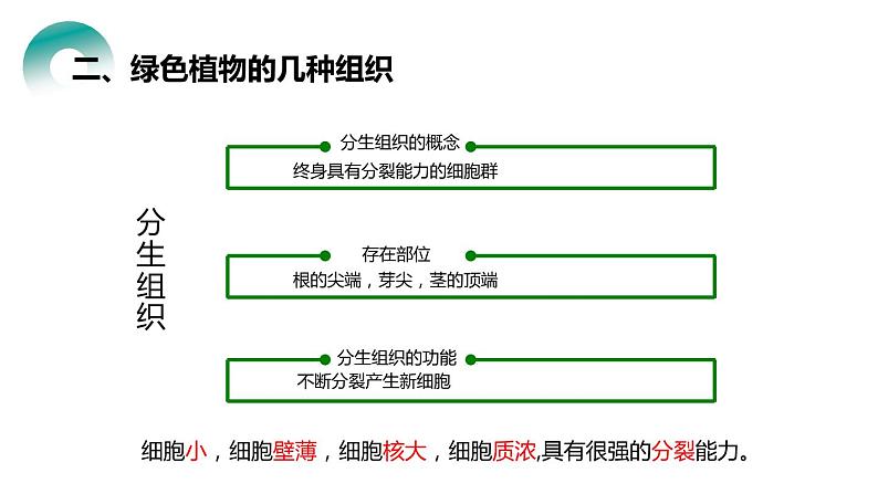 人教版生物七年级上册第四单元  细胞怎样构成生物 4.3 植物体的结构层次  教学PPT课件07