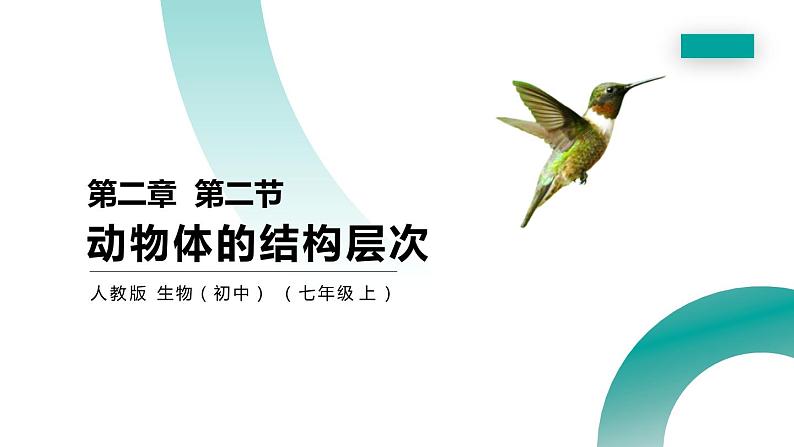 人教版生物七年级上册第四单元  细胞怎样构成生物 4.2 动物体的结构层次  教学PPT课件01