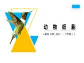 人教版生物七年级上册第三单元  细胞是生命活动的基本单位 3.3 动物细胞  教学PPT课件