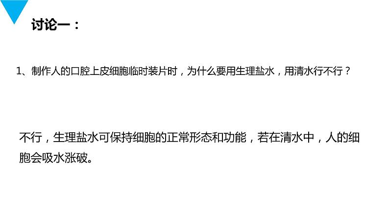 人教版生物七年级上册第三单元  细胞是生命活动的基本单位 3.3 动物细胞  教学PPT课件06