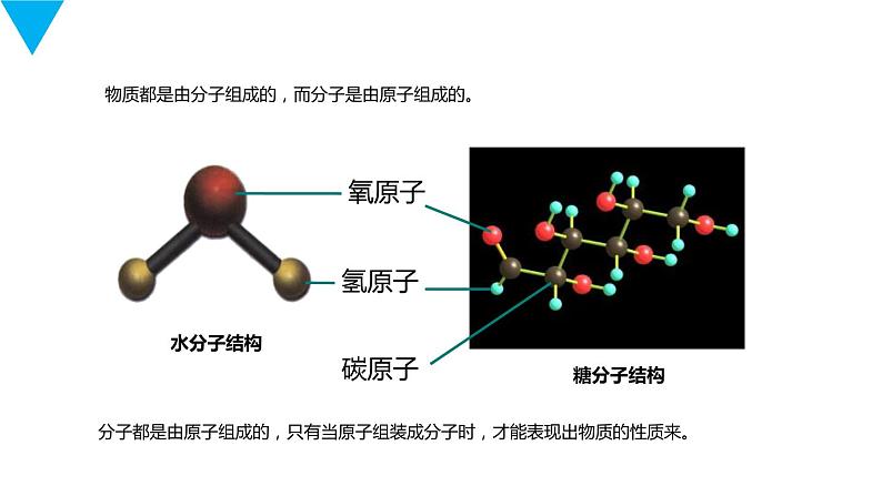 人教版生物七年级上册第三单元  细胞是生命活动的基本单位 3.4 细胞的生活  教学PPT课件第4页