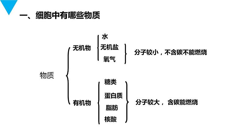 人教版生物七年级上册第三单元  细胞是生命活动的基本单位 3.4 细胞的生活  教学PPT课件第6页