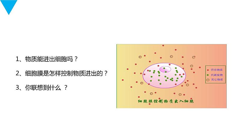 人教版生物七年级上册第三单元  细胞是生命活动的基本单位 3.4 细胞的生活  教学PPT课件第7页