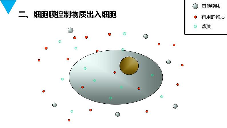 人教版生物七年级上册第三单元  细胞是生命活动的基本单位 3.4 细胞的生活  教学PPT课件第8页