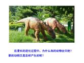 7.3.3 生物进化的原因课件