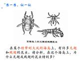 7.3.3 生物进化的原因课件