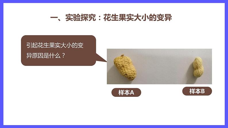 7.2.5 生物的变异 课件07