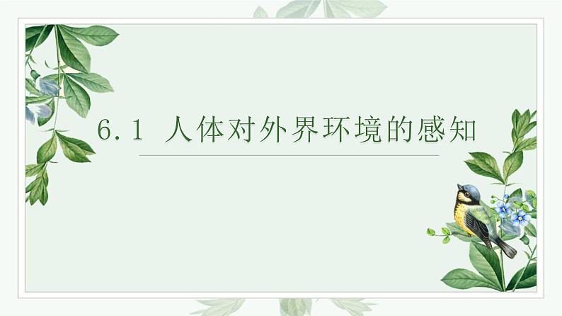 人教版生物七年级下册 第六单元  人体生命活动的调节 6.1 人体对外界环境的感知   电子课件PPT备课第1页