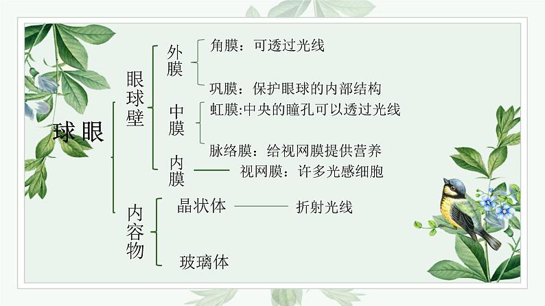 人教版生物七年级下册 第六单元  人体生命活动的调节 6.1 人体对外界环境的感知   电子课件PPT备课第6页