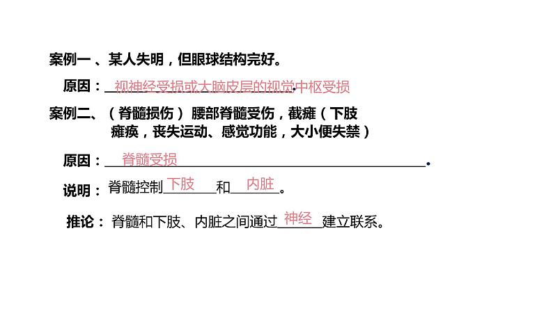 人教版生物七年级下册 第六单元  人体生命活动的调节 6.2 神经系统的组成 电子课件PPT备课第4页