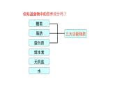 人教版生物七年级下册第二单元 人体的营养 2.1 食物中的营养物质 电子课件PPT备课