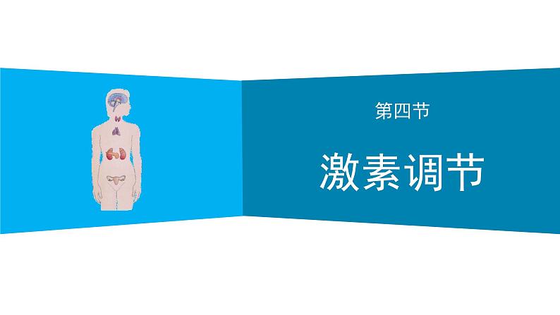 人教版生物七年级下册 第六单元  人体生命活动的调节 6.4 激素调节  电子课件PPT备课第1页