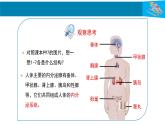 人教版生物七年级下册 第六单元  人体生命活动的调节 6.4 激素调节  电子课件PPT备课