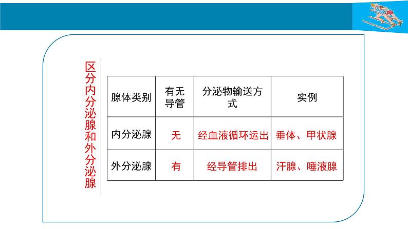 人教版生物七年级下册 第六单元  人体生命活动的调节 6.4 激素调节  电子课件PPT备课第6页