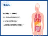 人教版生物七年级下册第二单元 人体的营养 2.2 消化和吸收 电子课件PPT备课