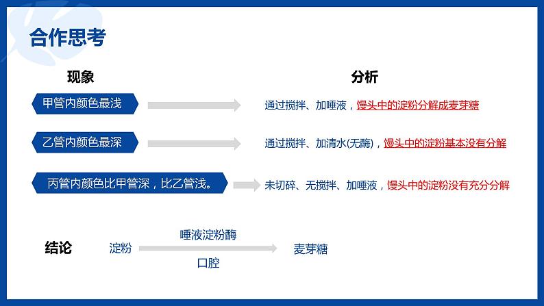 人教版生物七年级下册第二单元 人体的营养 2.2 消化和吸收 电子课件PPT备课第7页