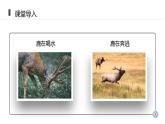 人教版生物八年级上册第二单元 动物的运动和行为 2.1 动物的运动 教学备课PPT课件