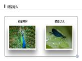 人教版生物八年级上册第二单元 动物的运动和行为 2.1 动物的运动 教学备课PPT课件