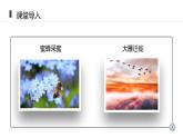 人教版生物八年级上册第二单元 动物的运动和行为 2.1 动物的运动 教学备课PPT课件