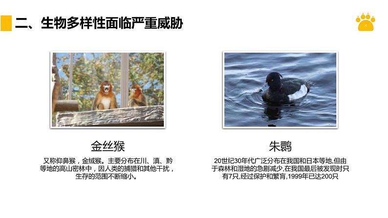 人教版生物八年级上册第八单元 保护生物的多样性 教学备课PPT课件05