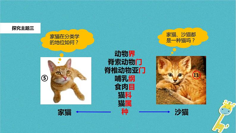 人教版生物八年级上册第六单元 根据生物的特征进行分类 6.2 从种到界  教学备课PPT课件06