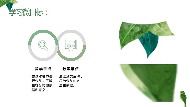 人教版生物八年级上册第六单元 根据生物的特征进行分类 6.1 尝试对生物进行分类 教学备课PPT课件03