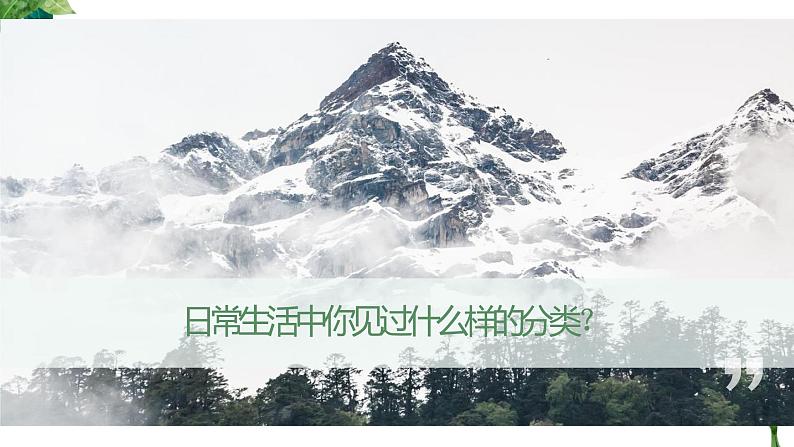 人教版生物八年级上册第六单元 根据生物的特征进行分类 6.1 尝试对生物进行分类 教学备课PPT课件06