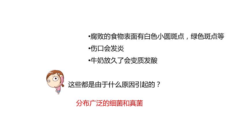 人教版生物八年级上册第四单元 细菌和真菌 4.1 细菌和真菌的分布 教学备课PPT课件04