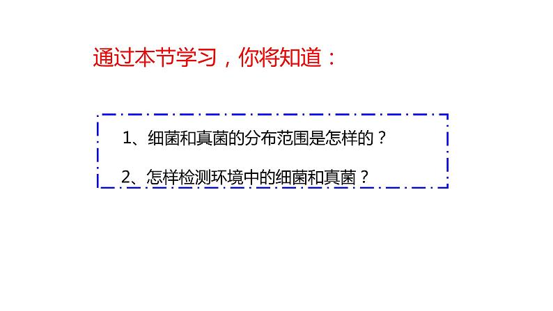 人教版生物八年级上册第四单元 细菌和真菌 4.1 细菌和真菌的分布 教学备课PPT课件05