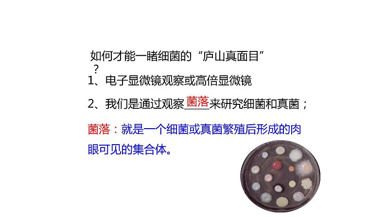 人教版生物八年级上册第四单元 细菌和真菌 4.1 细菌和真菌的分布 教学备课PPT课件08