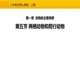 人教版生物八年级上册第一单元 动物的主要群类 1.5 两栖动物和爬行动物 教学备课PPT课件