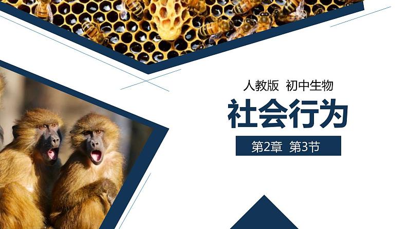 人教版生物八年级上册第二单元 动物的运动和行为 2.3 社会行为  教学备课PPT课件01