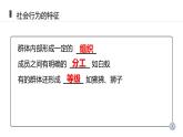 人教版生物八年级上册第二单元 动物的运动和行为 2.3 社会行为  教学备课PPT课件