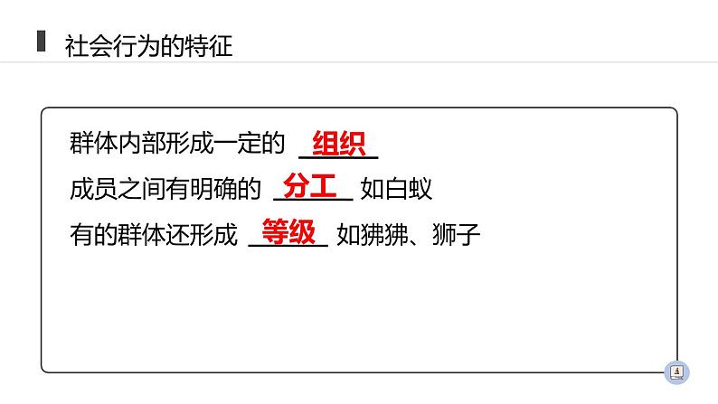 人教版生物八年级上册第二单元 动物的运动和行为 2.3 社会行为  教学备课PPT课件05