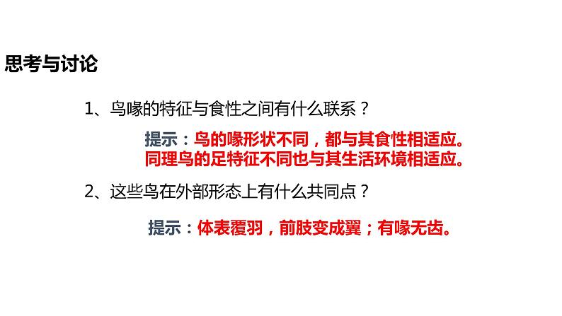 人教版生物八年级上册第一单元 动物的主要群类 1.6 鸟 教学备课PPT课件07
