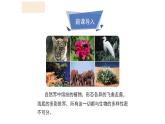 人教版生物八年级上册第七单元 认识生物的多样性 教学备课PPT课件