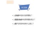人教版生物八年级上册第七单元 认识生物的多样性 教学备课PPT课件