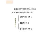 人教版生物八年级上册第七单元 认识生物的多样性 教学备课PPT课件