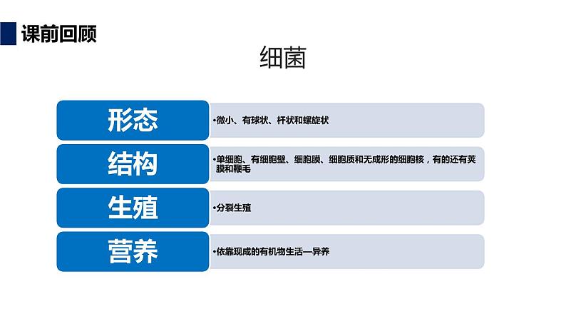 人教版生物八年级上册第四单元 细菌和真菌 4.3 真菌 教学备课PPT课件03