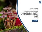 人教版生物八年级上册第四单元 细菌和真菌 4.5 人类对细菌和真菌的利用  教学备课PPT课件