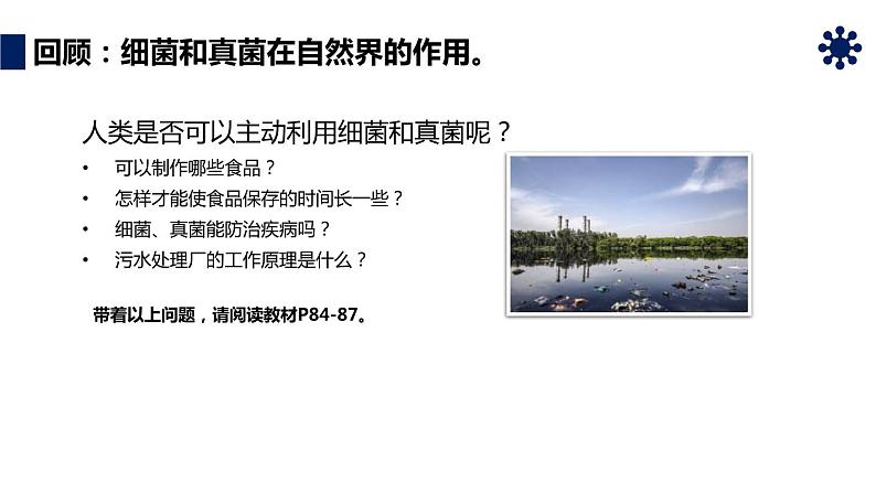 人教版生物八年级上册第四单元 细菌和真菌 4.5 人类对细菌和真菌的利用  教学备课PPT课件第3页