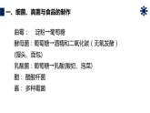 人教版生物八年级上册第四单元 细菌和真菌 4.5 人类对细菌和真菌的利用  教学备课PPT课件