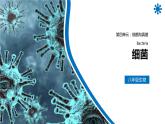 人教版生物八年级上册第四单元 细菌和真菌 4.2 细菌 教学备课PPT课件