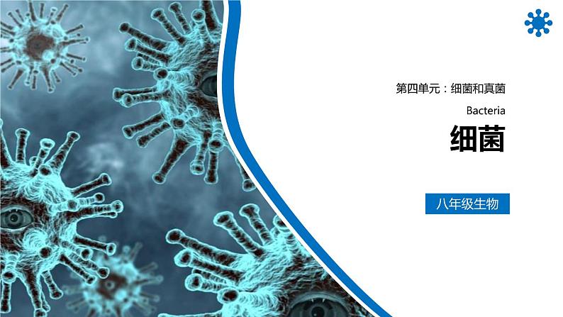 人教版生物八年级上册第四单元 细菌和真菌 4.2 细菌 教学备课PPT课件01