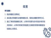 人教版生物八年级上册第四单元 细菌和真菌 4.2 细菌 教学备课PPT课件
